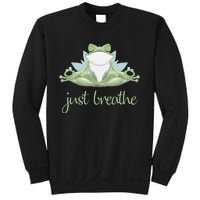 Funny Frog Yoga Meditation Tee Pilates Yoga Animals Lover Sweatshirt