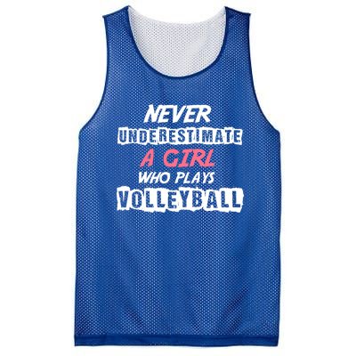 Fragrance Free Zone Chemical Sensitivity Mcs/es Funny Gift Mesh Reversible Basketball Jersey Tank