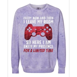 Funny Gamer Art For Men Women Gaming Gamer Video Game Lover Colorblast Crewneck Sweatshirt