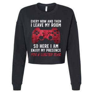 Funny Gamer Art For Men Women Gaming Gamer Video Game Lover Cropped Pullover Crew