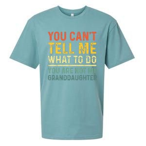 Funny Grandpa Art For Grandfather Gramps Poppy Papi  Sueded Cloud Jersey T-Shirt