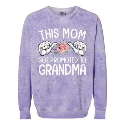 Funny Grandma Art For Grandma Mom Grandmother Grandma Colorblast Crewneck Sweatshirt