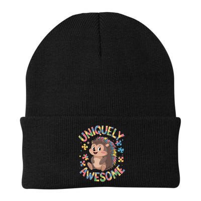 Funny Gift Autism Awareness Month Hedgehog Acceptance Neurodiversity  Beanie