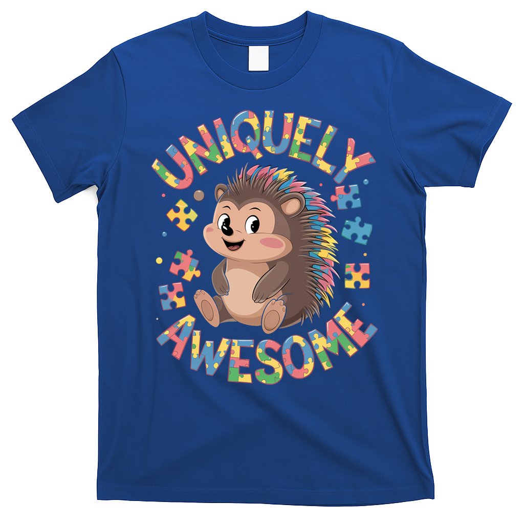Funny Gift Autism Awareness Month Hedgehog Acceptance Neurodiversity  T-Shirt
