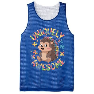 Funny Gift Autism Awareness Month Hedgehog Acceptance Neurodiversity  Mesh Reversible Basketball Jersey Tank