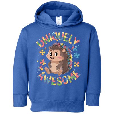 Funny Gift Autism Awareness Month Hedgehog Acceptance Neurodiversity  Toddler Hoodie
