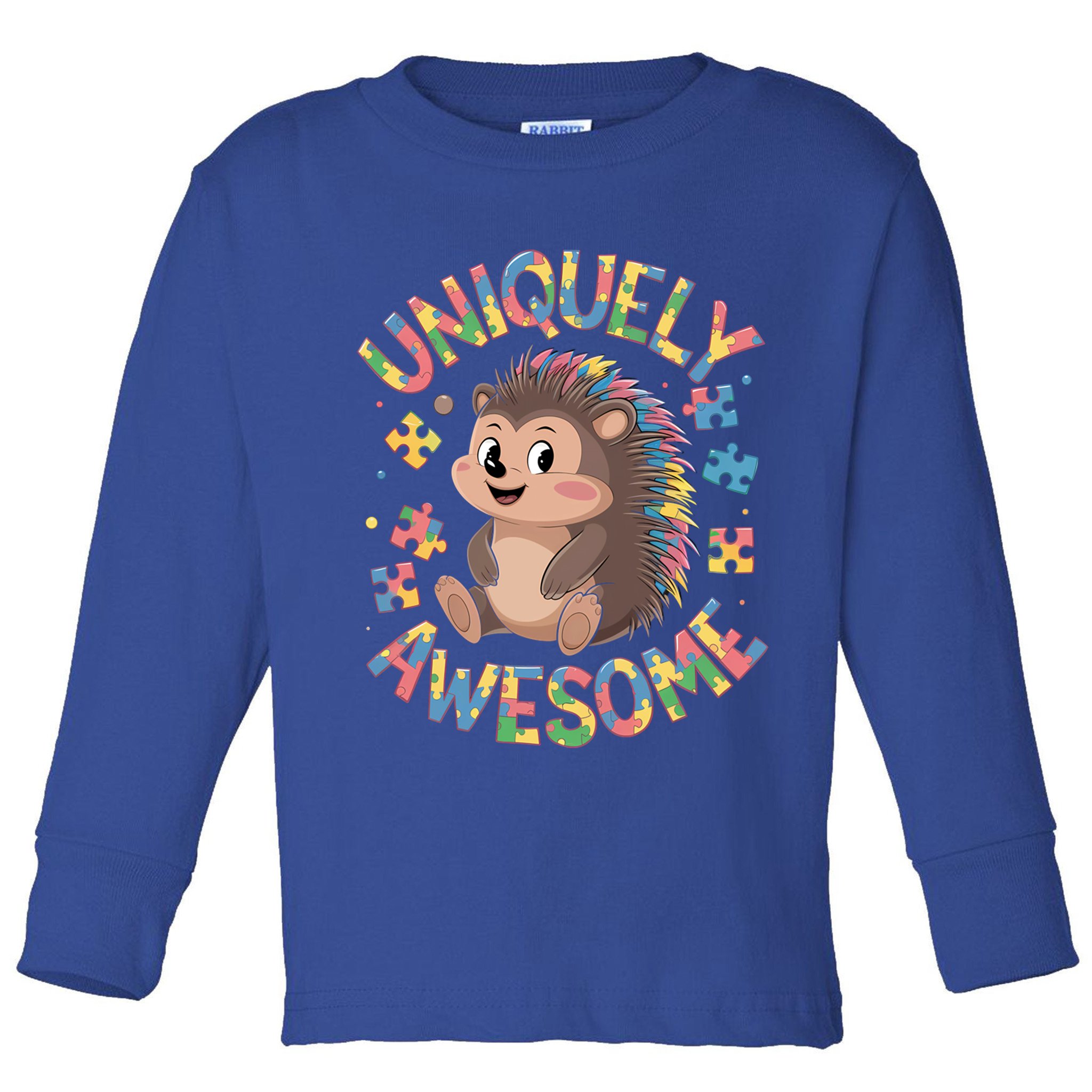 Funny Gift Autism Awareness Month Hedgehog Acceptance Neurodiversity  Toddler Long Sleeve Shirt