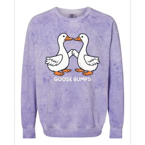 Funny Goose Bumps Silly Goose Minimalist Duck Colorblast Crewneck Sweatshirt