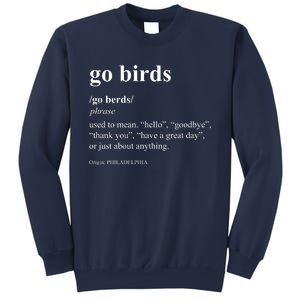 Funny Go Birds Definition Philadelphia Football Sweatshirt