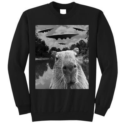 Funny Graphic Capybara Selfie With Ufos Weird Sweatshirt