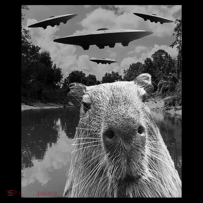 Funny Graphic Capybara Selfie With Ufos Weird Toddler T-Shirt