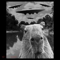 Funny Graphic Capybara Selfie With Ufos Weird Cropped Pullover Crew