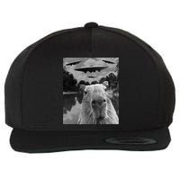 Funny Graphic Capybara Selfie With Ufos Weird Wool Snapback Cap