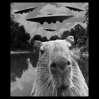 Funny Graphic Capybara Selfie With Ufos Weird Wool Snapback Cap