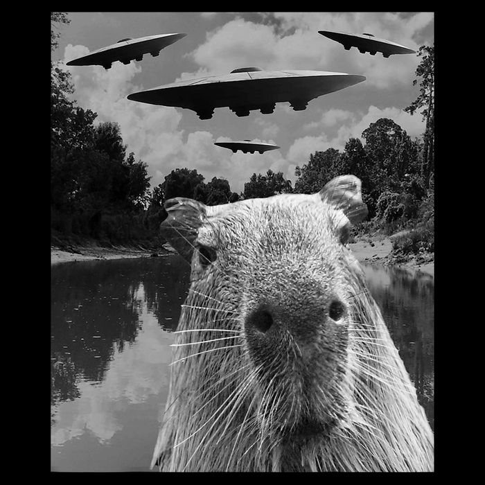 Funny Graphic Capybara Selfie With Ufos Weird Wool Snapback Cap