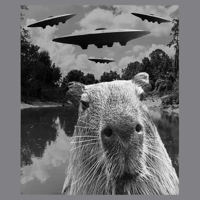 Funny Graphic Capybara Selfie With Ufos Weird T-Shirt