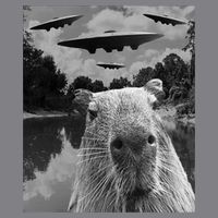Funny Graphic Capybara Selfie With Ufos Weird T-Shirt