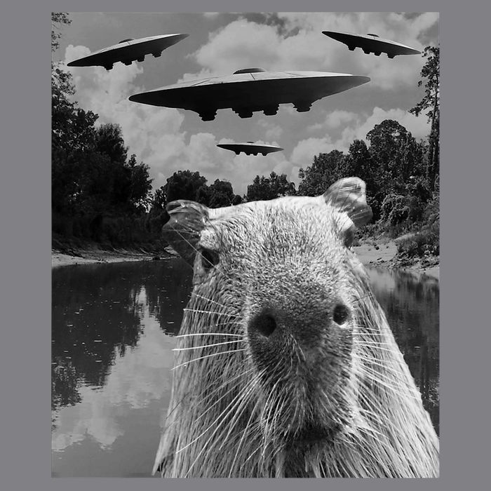 Funny Graphic Capybara Selfie With Ufos Weird T-Shirt