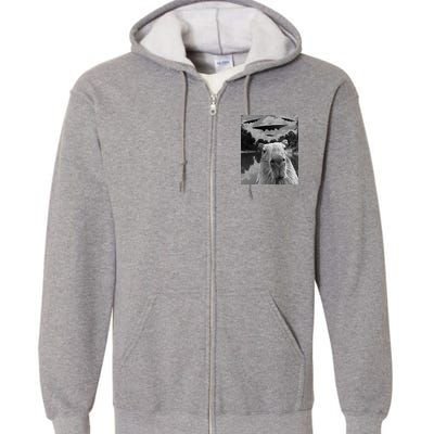 Funny Graphic Capybara Selfie With Ufos Weird Full Zip Hoodie