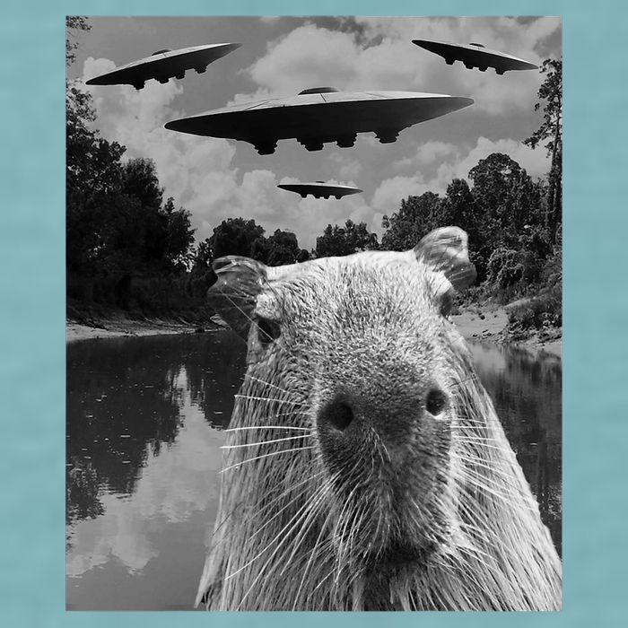 Funny Graphic Capybara Selfie With Ufos Weird Sueded Cloud Jersey T-Shirt
