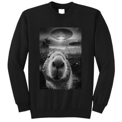 Funny Graphic Capybara Selfie With Ufos Weird Sweatshirt