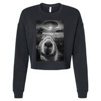 Funny Graphic Capybara Selfie With Ufos Weird Cropped Pullover Crew