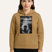 Funny Graphic Capybara Selfie With Ufos Weird Hoodie