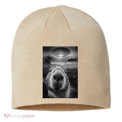 Funny Graphic Capybara Selfie With Ufos Weird Sustainable Beanie