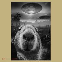 Funny Graphic Capybara Selfie With Ufos Weird Cooling Performance Long Sleeve Crew