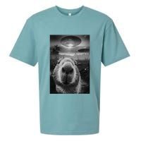 Funny Graphic Capybara Selfie With Ufos Weird Sueded Cloud Jersey T-Shirt