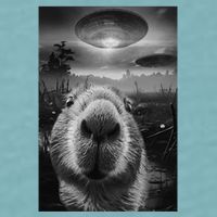 Funny Graphic Capybara Selfie With Ufos Weird Sueded Cloud Jersey T-Shirt