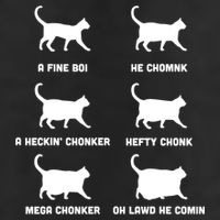 Funny Gift Cats Meme Chonk Cat Chart Adult Drive Performance Visor