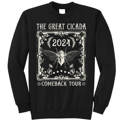 Funny Great Cicada Comeback 2024 Insect Invasion Sweatshirt