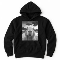Funny Graphic Capybara Selfie With Ufos Weird Hoodie