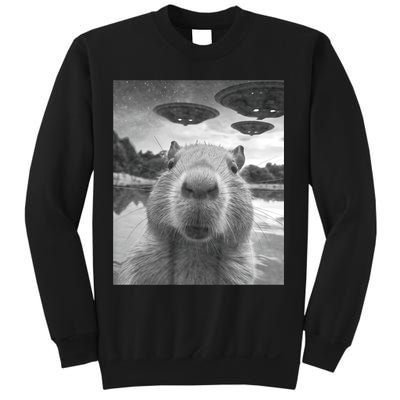Funny Graphic Capybara Selfie With Ufos Weird Sweatshirt