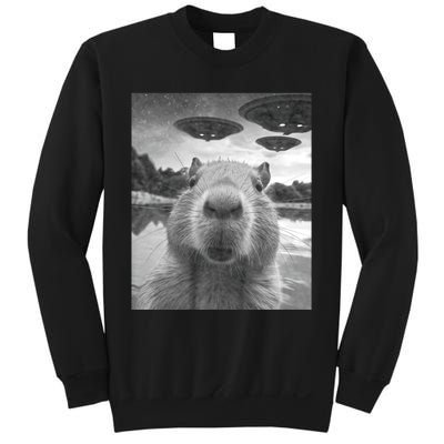 Funny Graphic Capybara Selfie With Ufos Weird Sweatshirt