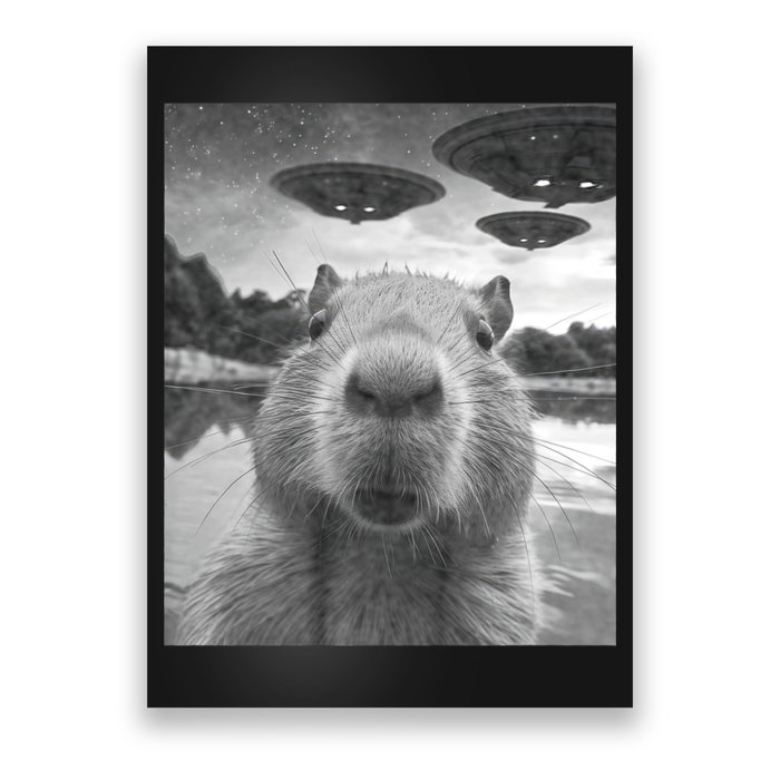 Funny Graphic Capybara Selfie With Ufos Weird Poster