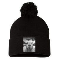 Funny Graphic Capybara Selfie With Ufos Weird Pom Pom 12in Knit Beanie