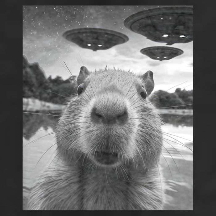 Funny Graphic Capybara Selfie With Ufos Weird Trucker Hat