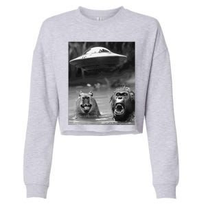 Funny Graphic Capybara Bigfoot Sasquatch Alien Ufo Cropped Pullover Crew