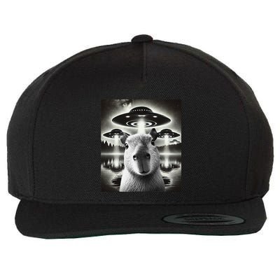 Funny Graphic Capybara Selfie With Ufos Weird Wool Snapback Cap