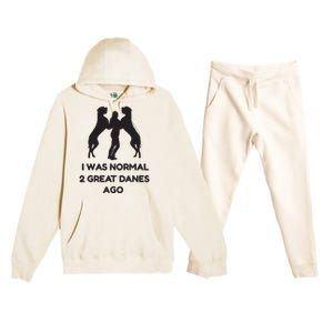 Funny Great Dane Shirts Woman I Was Normal 2 Great Danes Ago Premium Hooded Sweatsuit Set