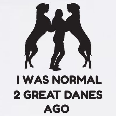 Funny Great Dane Shirts Woman I Was Normal 2 Great Danes Ago T-Shirt