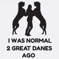 Funny Great Dane Shirts Woman I Was Normal 2 Great Danes Ago Flatbill Hat
