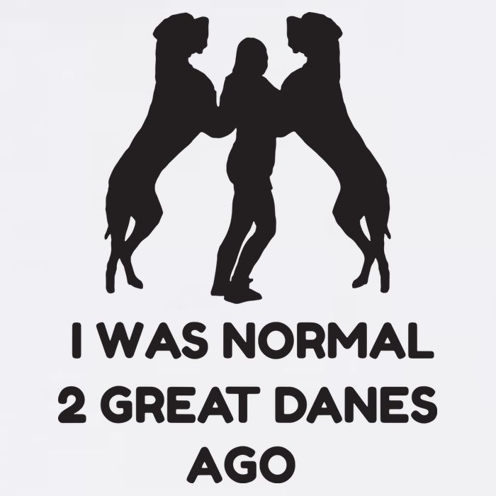 Funny Great Dane Shirts Woman I Was Normal 2 Great Danes Ago Flatbill Hat