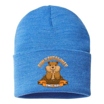 Funny Groundhog Day Phil Cute Ground Hog Punxsutawney Gift Sustainable Knit Beanie