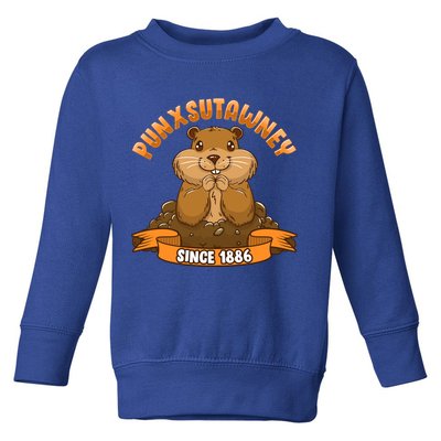 Funny Groundhog Day Phil Cute Ground Hog Punxsutawney Gift Toddler Sweatshirt
