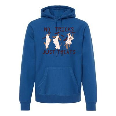 Funny Ghost Dog Halloween No Tricks Just Treats Gift Premium Hoodie