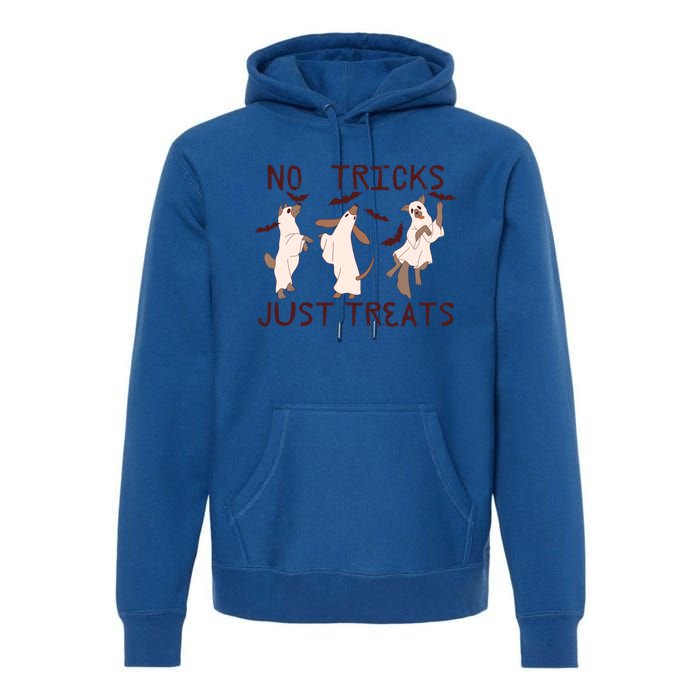 Funny Ghost Dog Halloween No Tricks Just Treats Gift Premium Hoodie