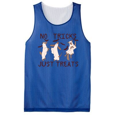 Funny Ghost Dog Halloween No Tricks Just Treats Gift Mesh Reversible Basketball Jersey Tank